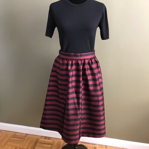 Beautiful Stripe Skirt